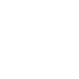 榮譽(yù)證書(shū)